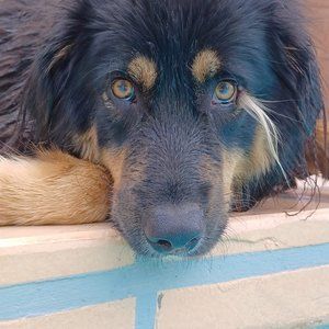 Meet your Posher, Keith